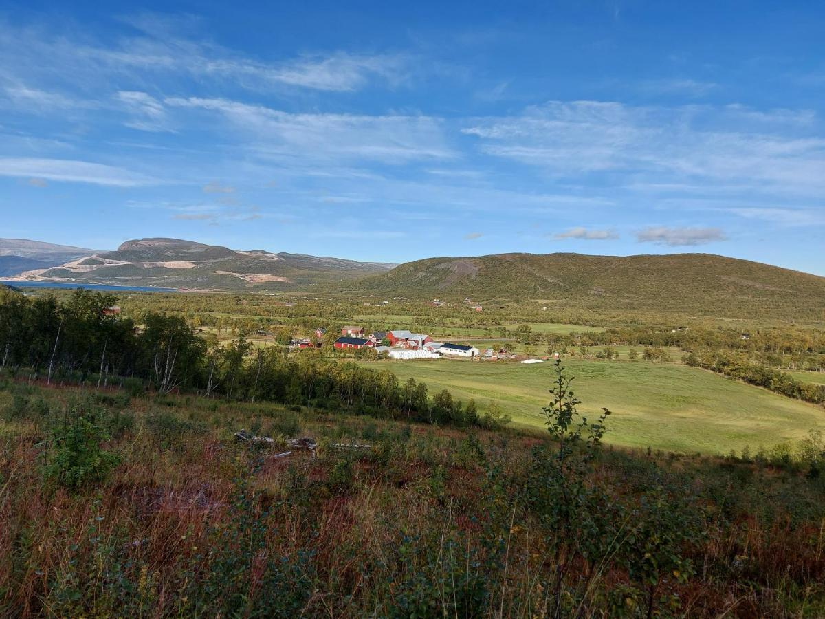 Austertanakrystallen By Pure Lifestyle Arctic Экстерьер фото